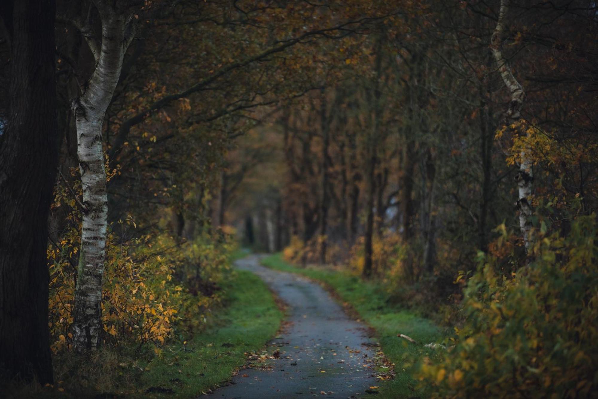 Drents Genieten - Dopheide Erm Buitenkant foto